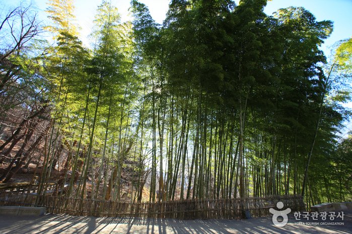 [Gyeongsangnam-do] Hongnyongsa Temple (Yangsan) (홍룡사(양산))