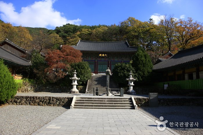 [Gyeongsangnam-do] Hadong Ssanggyesa Temple (쌍계사(하동))
