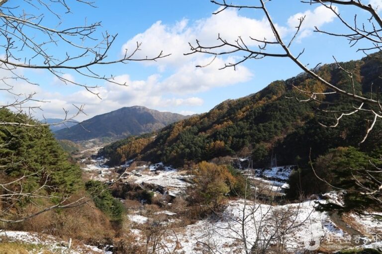 [Gyeongsangnam-do] Jirisan Recreational Forest (국립 지리산자연휴양림)