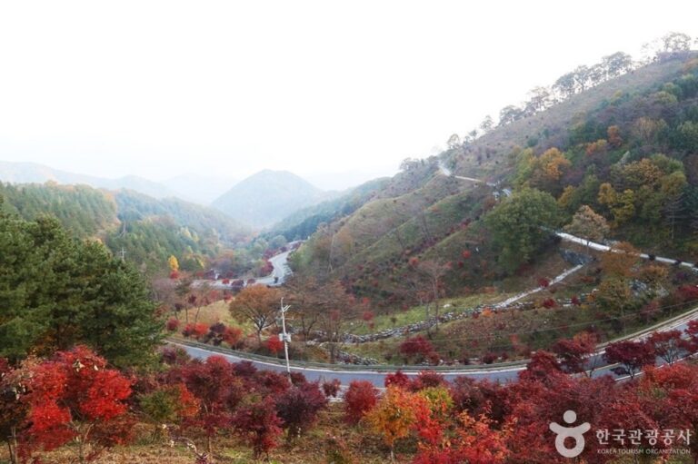 [Gyeongsangnam-do] Road to Jirisan (지리산 가는길)