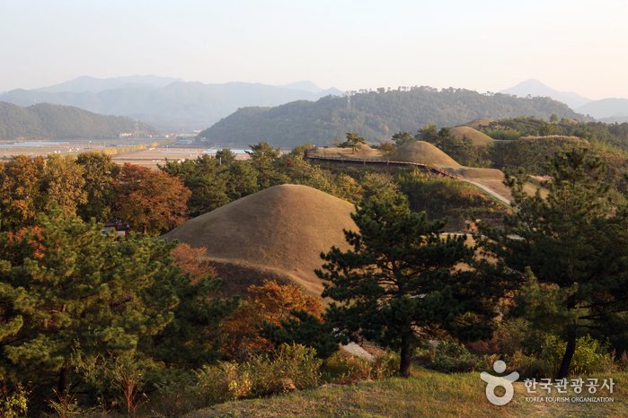 [Gyeongsangnam-do] Ancient Tombs in Marisan Mountain, Haman (함안 말이산 고분군)