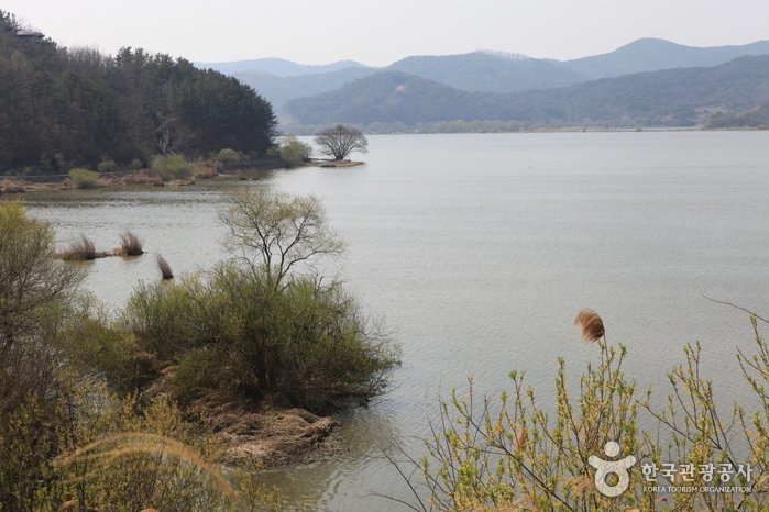 [Gyeongsangnam-do] Changnyeong Upo Wetland (창녕 우포늪)