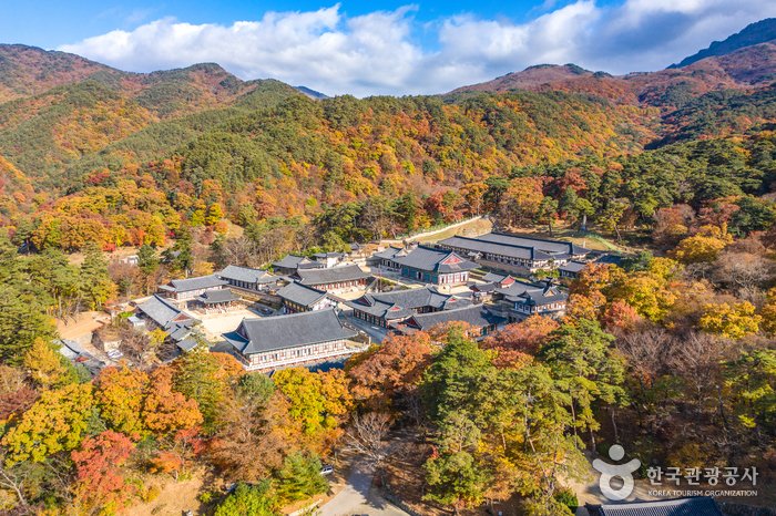[Gyeongsangnam-do] Hapcheon Haeinsa Temple (해인사 (합천))