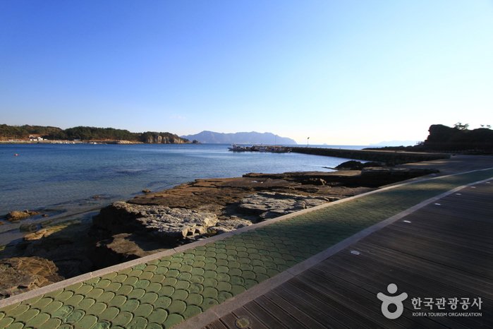 [Gyeongsangnam-do] Fossil Dinosaur and Bird Footprints of Goseong (고성 덕명리 공룡과 새발자국 화석 산지)