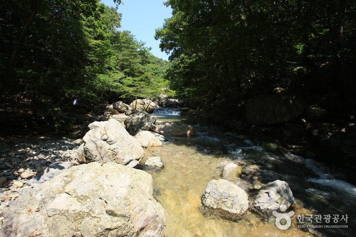 [Gyeongsangnam-do] Jangyu Daecheonggyegok Valley (장유대청계곡)