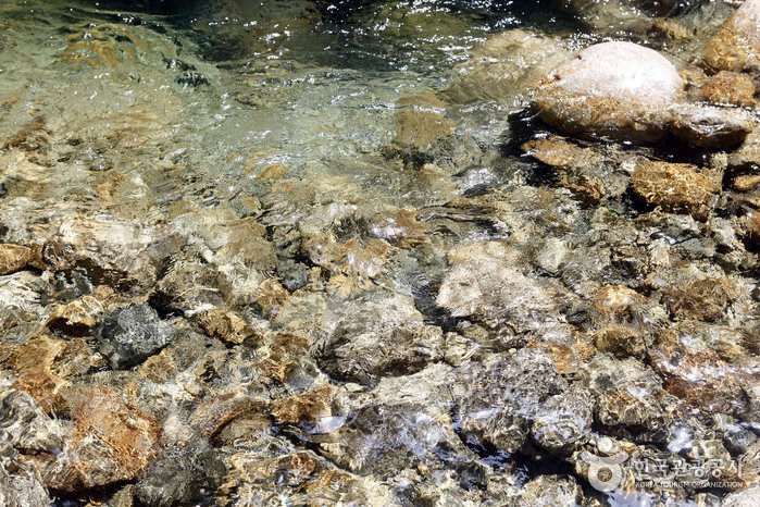 [Gyeongsangnam-do] Jirisan Chilseongyegok Valley (칠선계곡(지리산))