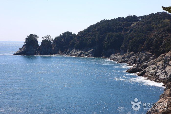 [Gyeongsangnam-do] Jisimdo Island (지심도)