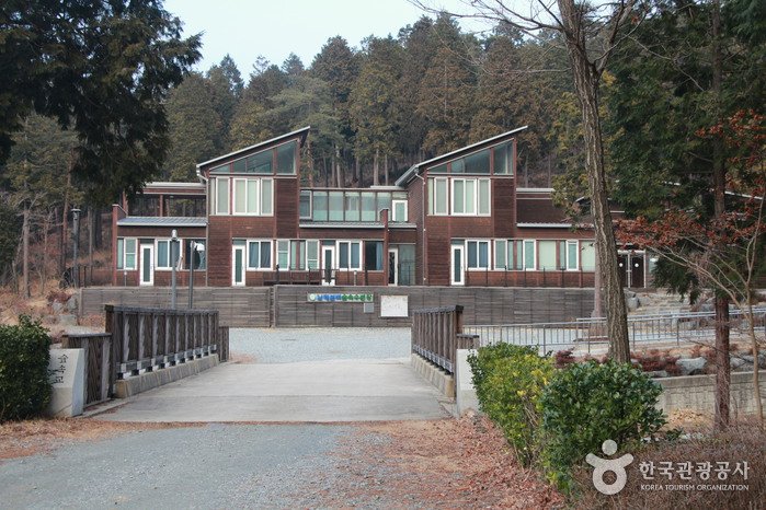 [Gyeongsangnam-do] Namhae Pyeonbaek National Recreational Forest (국립 남해편백자연휴양림)