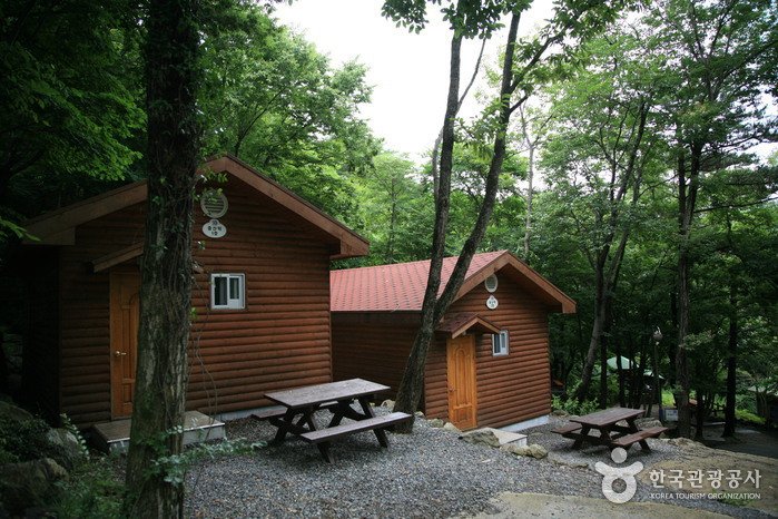 [Gyeongsangnam-do] Geoje Recreational Forest (거제자연휴양림)