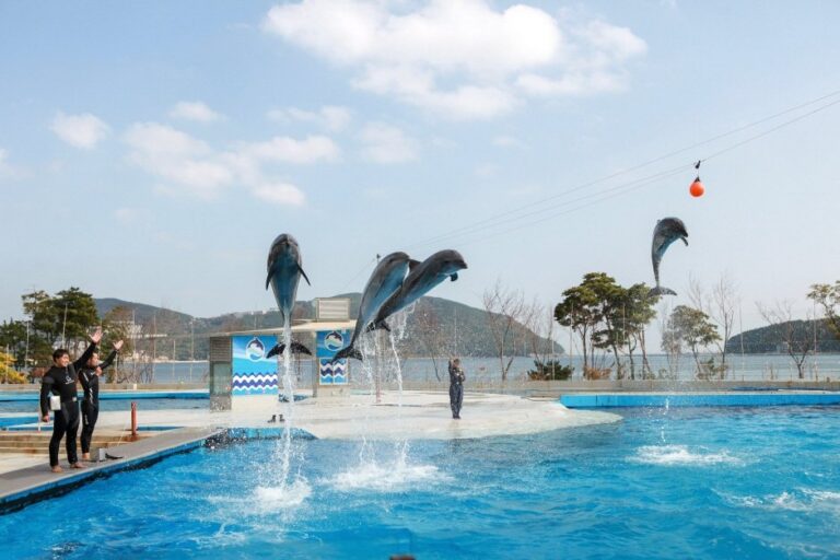 [Gyeongsangnam-do] Geoje Sea World (거제씨월드)