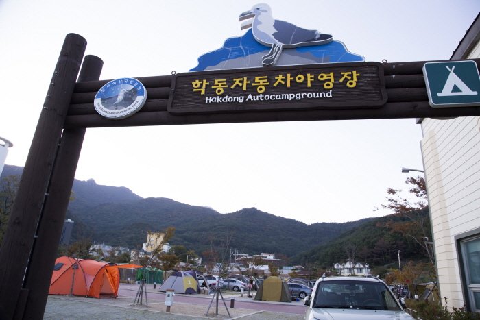 [Gyeongsangnam-do] Hakdong Auto Campging Site (학동자동차야영장)