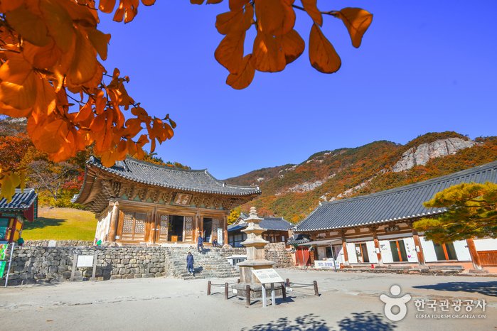 [Jeollabuk-do] Buan Naesosa Temple (내소사 (부안))