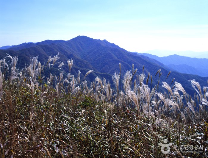 [Jeollabuk-do] Jangansan County Park (장안산군립공원)