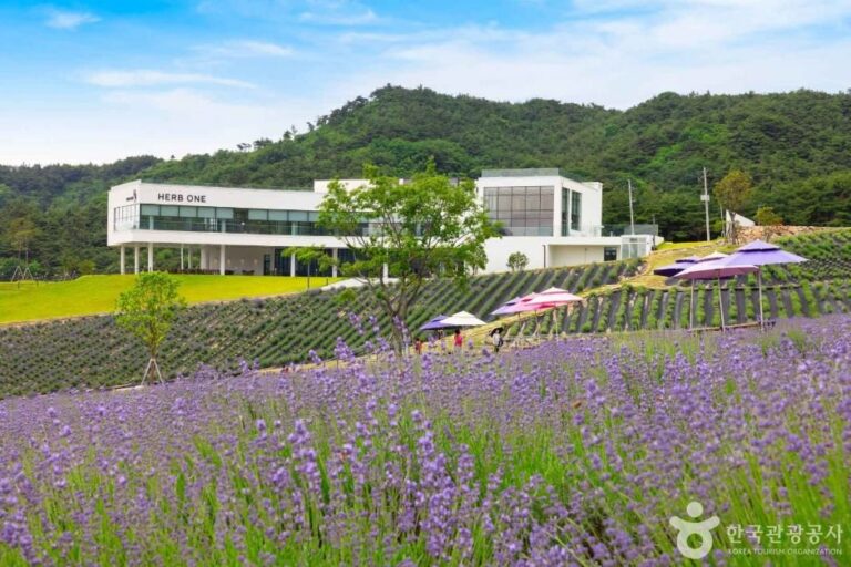 [Jeollabuk-do] Herb One (정읍 허브원)