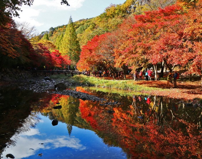 [Jeollabuk-do] Gangcheonsan County Park (강천산 군립공원)
