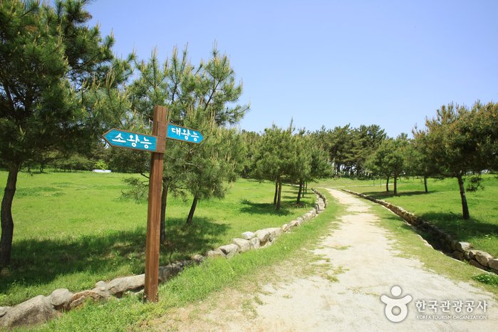 [Jeollabuk-do] Iksan Ssangneung (익산 쌍릉)