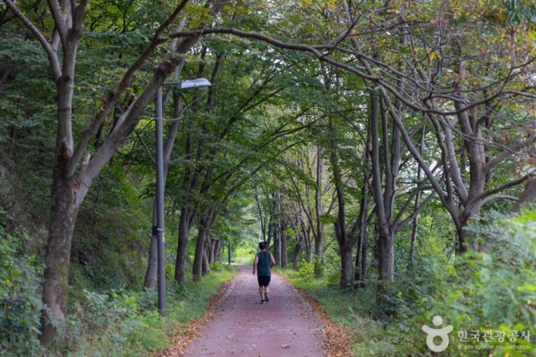 [Jeollabuk-do] Baramssoeneun-gil Road (바람쐬는길)