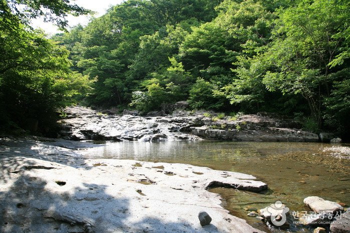 [Jeollabuk-do] Unjangsan National Recreational Forest (국립 운장산자연휴양림)