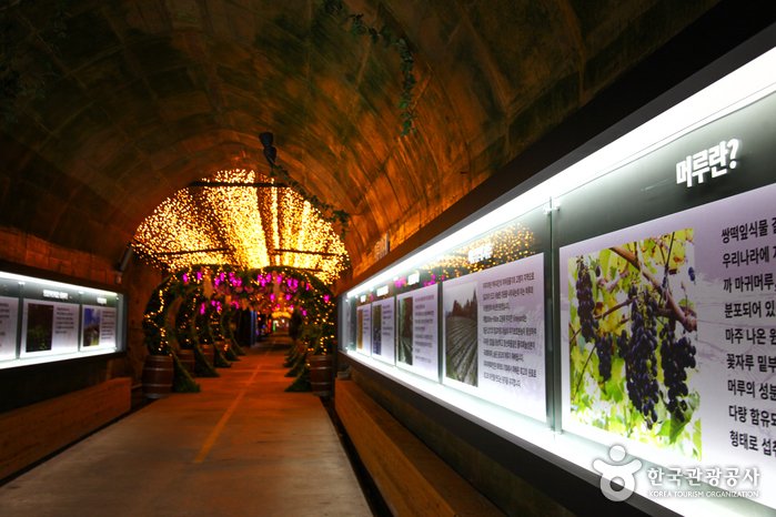 [Jeollabuk-do] Muju Meoru Wine Cave (무주머루와인동굴)