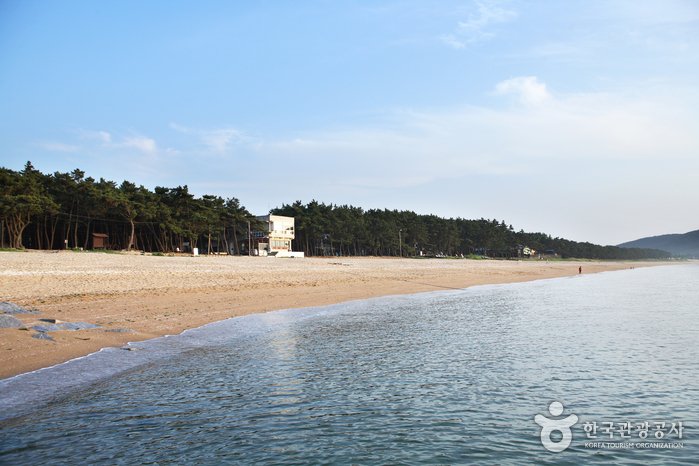 [Jeollabuk-do] Gosapo Beach (고사포해수욕장)