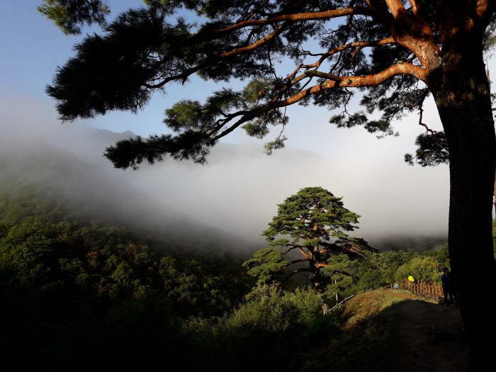 [Jeollabuk-do] Baemsagol Waun Village (뱀사골 와운마을)