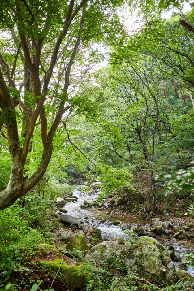 [Jeollabuk-do] Moaksan Provincial Park (모악산 도립공원)