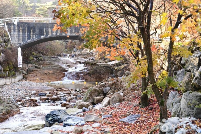[Jeollabuk-do] Dongsang Unjangsangyegok Valley (동상운장산계곡)