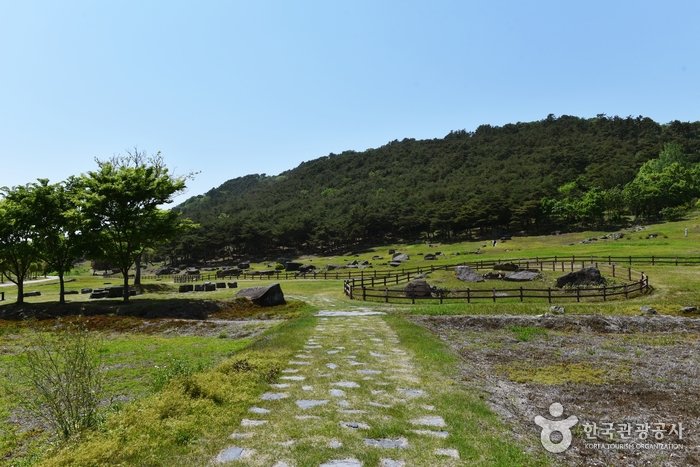 [Jeollabuk-do] Gochang Dolmen Site [UNESCO World Heritage] (고창 고인돌 유적 [유네스코 세계문화유산])