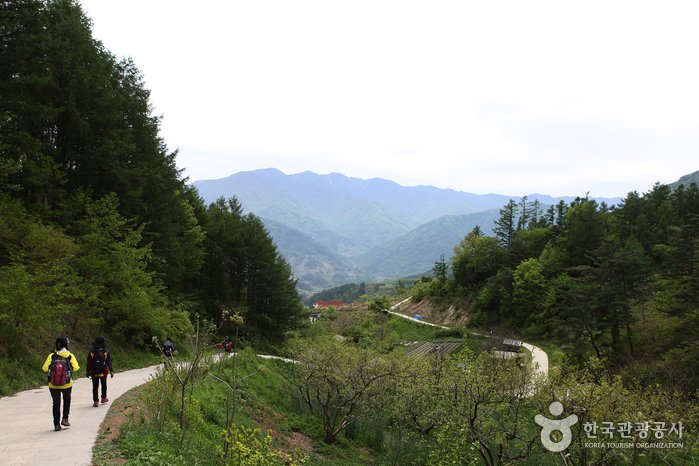 [Jeollabuk-do] [Jirisan Trail Course] Inwol-Geumgye