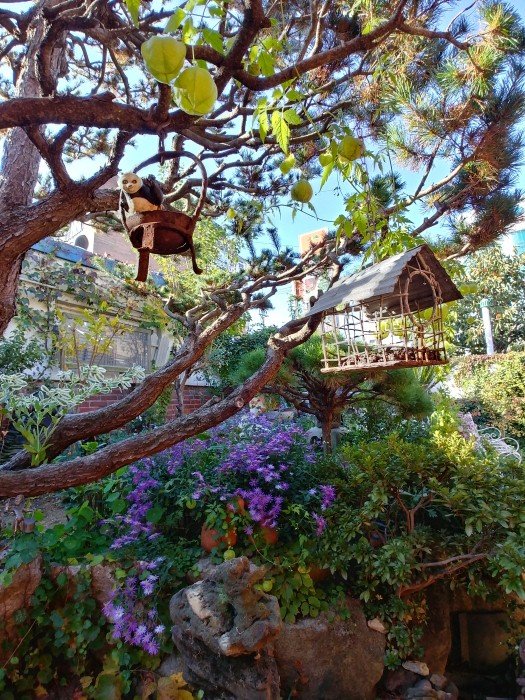 [Jeollabuk-do] Fine day (좋은날)