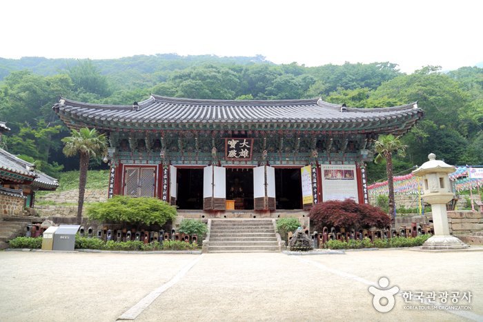 [Jeollanam-do] Daeheungsa Temple [UNESCO World Heritage] (대흥사[유네스코 세계문화유산])