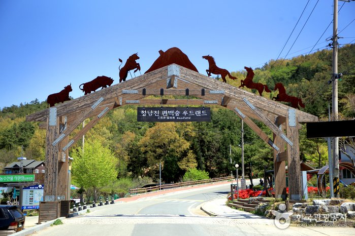 [Jeollanam-do] Jeongnamjin Cypress Forest Woodland (정남진 편백숲 우드랜드)