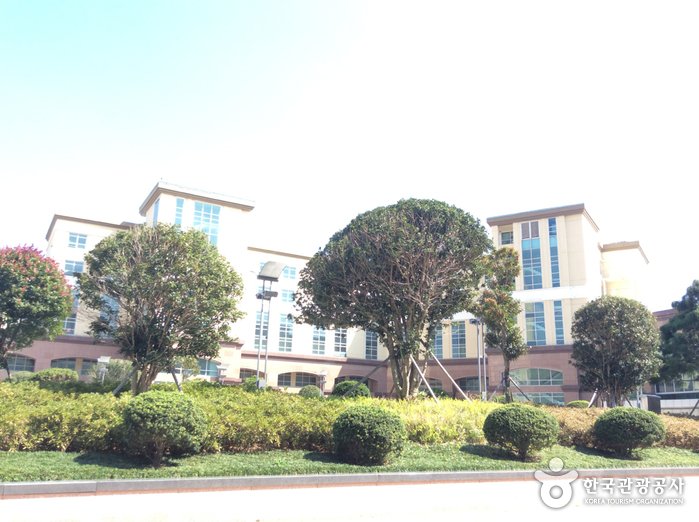 [Jeollanam-do] The Ocean Resort  (디오션리조트)