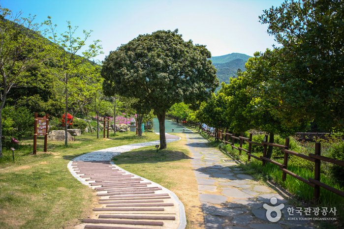 [Jeollanam-do] Wando Arboretum (완도수목원)