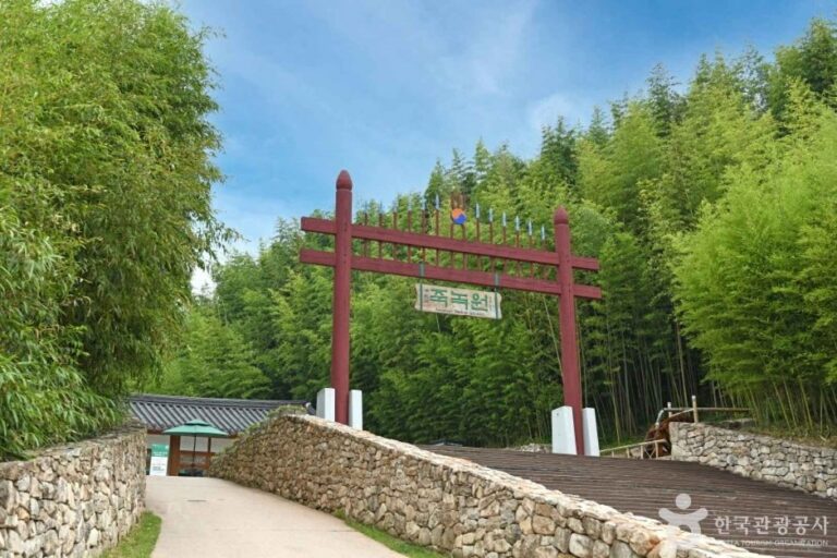 [Jeollanam-do] Juknokwon (Bamboo Garden) (죽녹원)