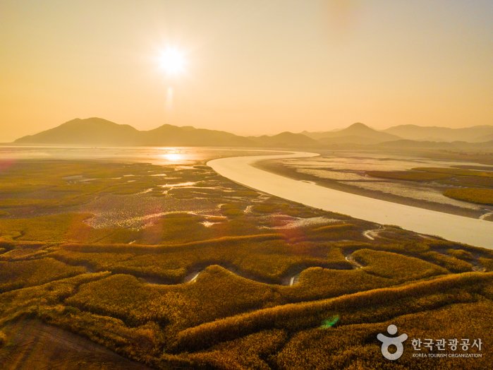 [Jeollanam-do] Suncheonman Wetland (순천만습지)