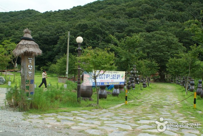 [Jeollanam-do] Red Spider Lily Park of Yongcheonsa Temple (용천사 꽃무릇공원)