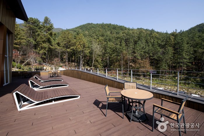 [Jeollanam-do] Baegunsan Recreational Forest (백운산자연휴양림)