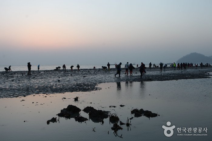 [Jeollanam-do] Jindo Mysterious Sea Route (진도 신비의 바닷길)