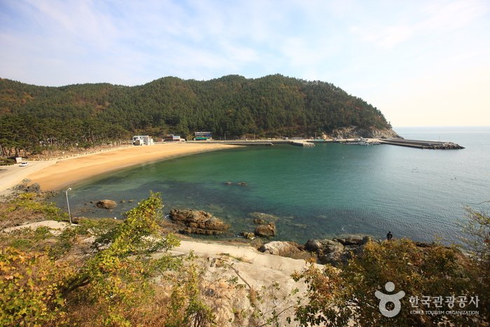 [Jeollanam-do] Bangjukpo Beach (방죽포해변)