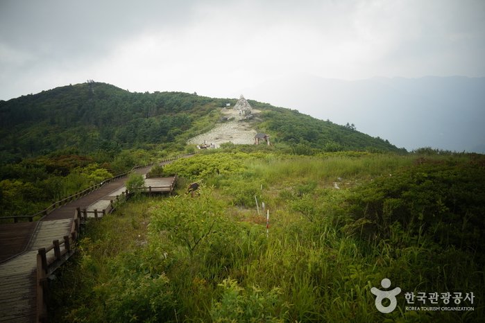 [Jeollanam-do] Jirisan National Park (Nogodan Peak Section) (지리산국립공원 (지리산 노고단))