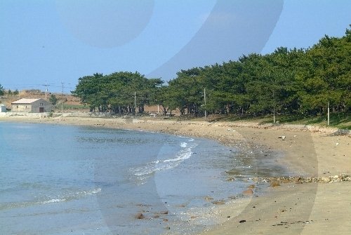[Jeollanam-do] Jiri Beach (지리해수욕장)