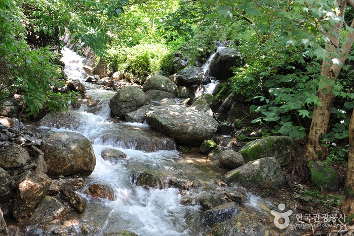 [Jeollanam-do] Baegunsan Eochigyegok Valley (백운산 어치계곡)