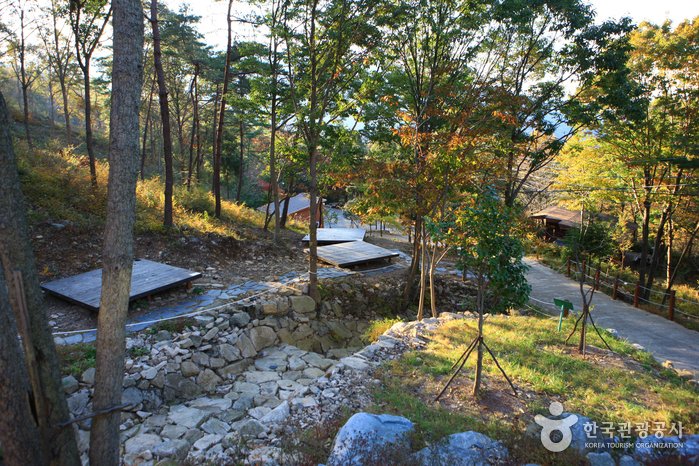 [Jeollanam-do] Cheongwansan National Recreational Forest (국립 천관산자연휴양림)