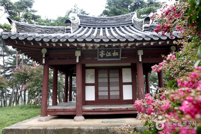 [Jeollanam-do] Damyang Songgangjeong Pavilion (담양 송강정)