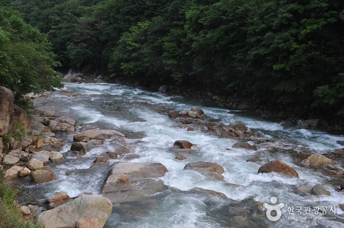 [Jeollanam-do] Baegunsan Mountain Donggokgyegok Valley (백운산 동곡계곡)