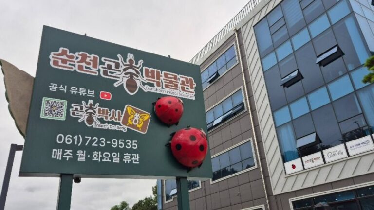 [Jeollanam-do] Suncheon Insect Museum (순천곤충박물관)