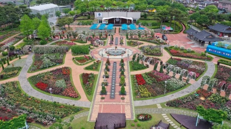 [Jeollanam-do] Gokseong International Rose Festival (곡성세계장미축제)