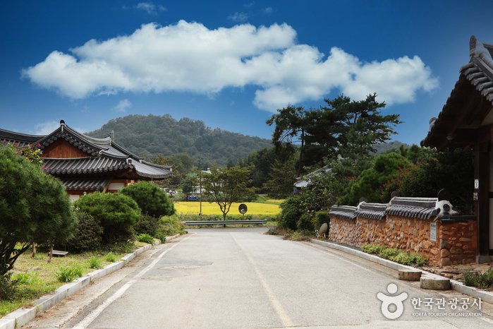 [Jeollanam-do] Gangjin Moonlight Hanok Village (강진달빛한옥마을)