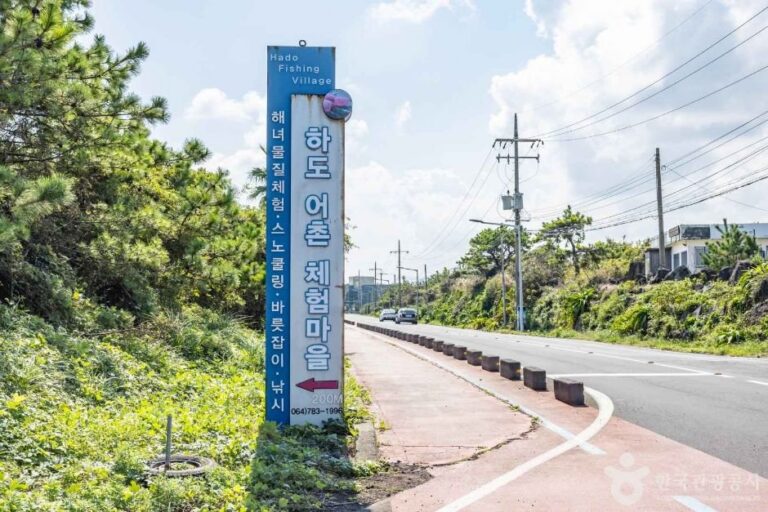 [Jeju] Hado Fishing Experience Village (하도어촌체험마을)
